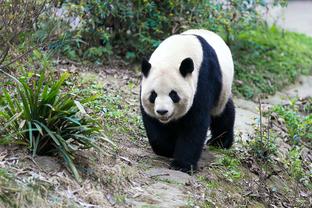 老里：我对在76人的执教经历很满意 我们让76人成为了冠军争夺者